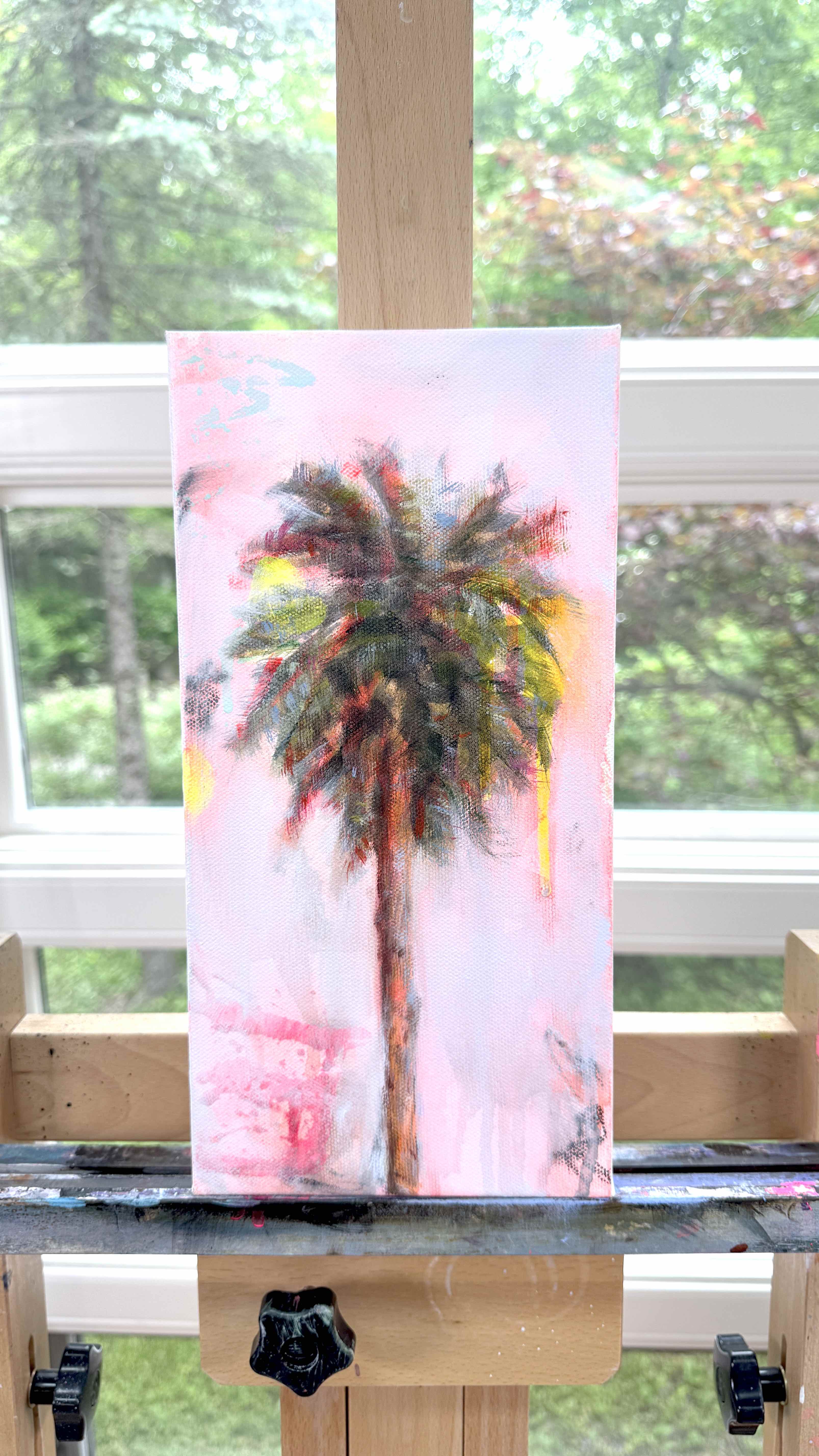 Tropical Expedition