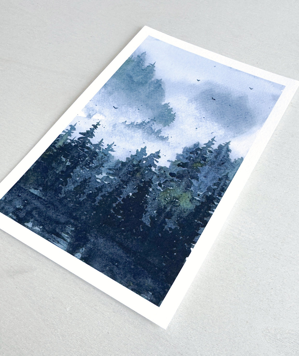 Evergreen Mist Fine Art Print