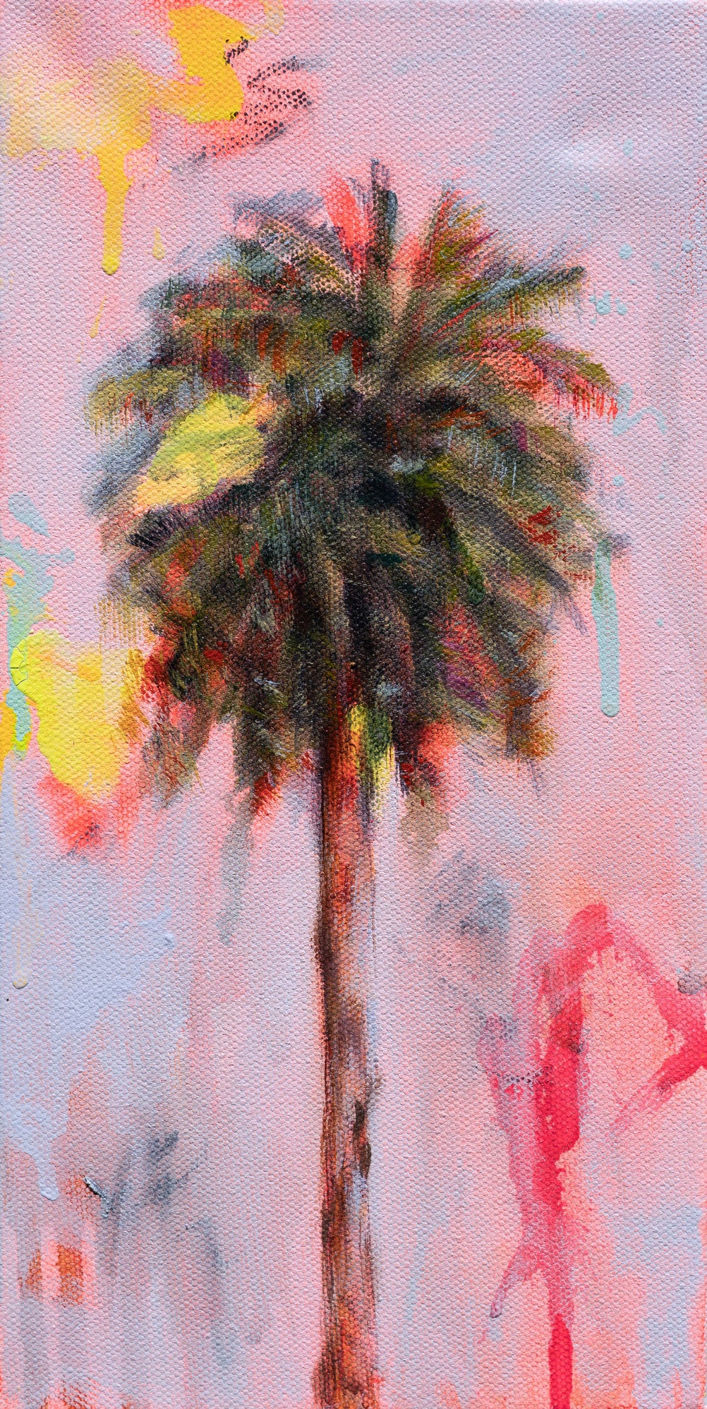 Tropical Expedition 